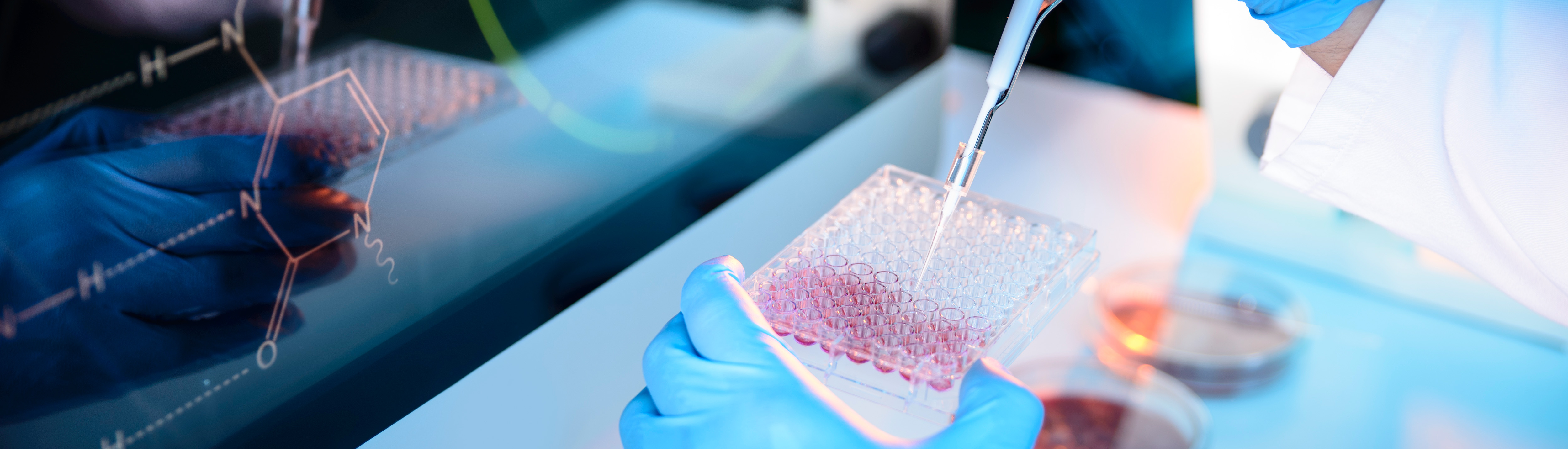 williamhill������ϣ��(����)Ψһ���Ĺٷ���վ-Official website