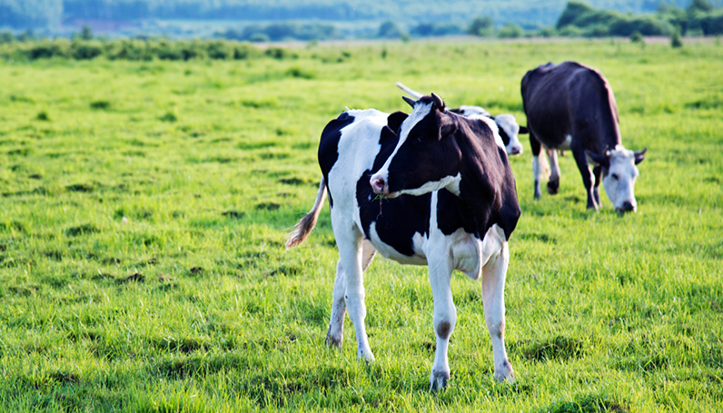 williamhill������ϣ��(����)Ψһ���Ĺٷ���վ-Official website