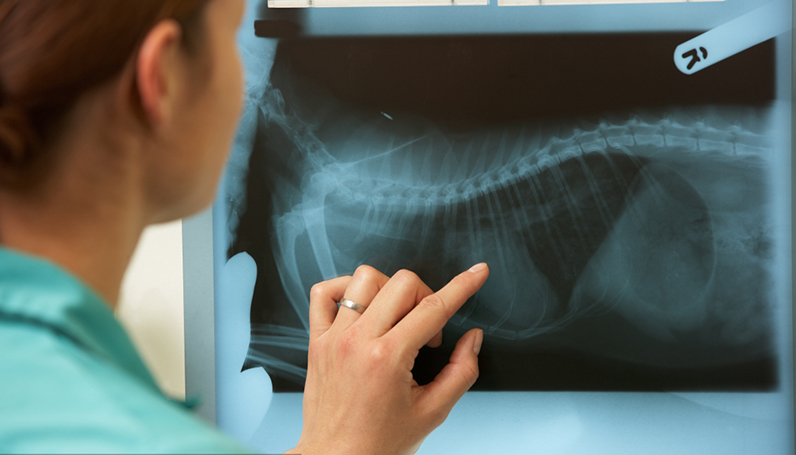 williamhill������ϣ��(����)Ψһ���Ĺٷ���վ-Official website